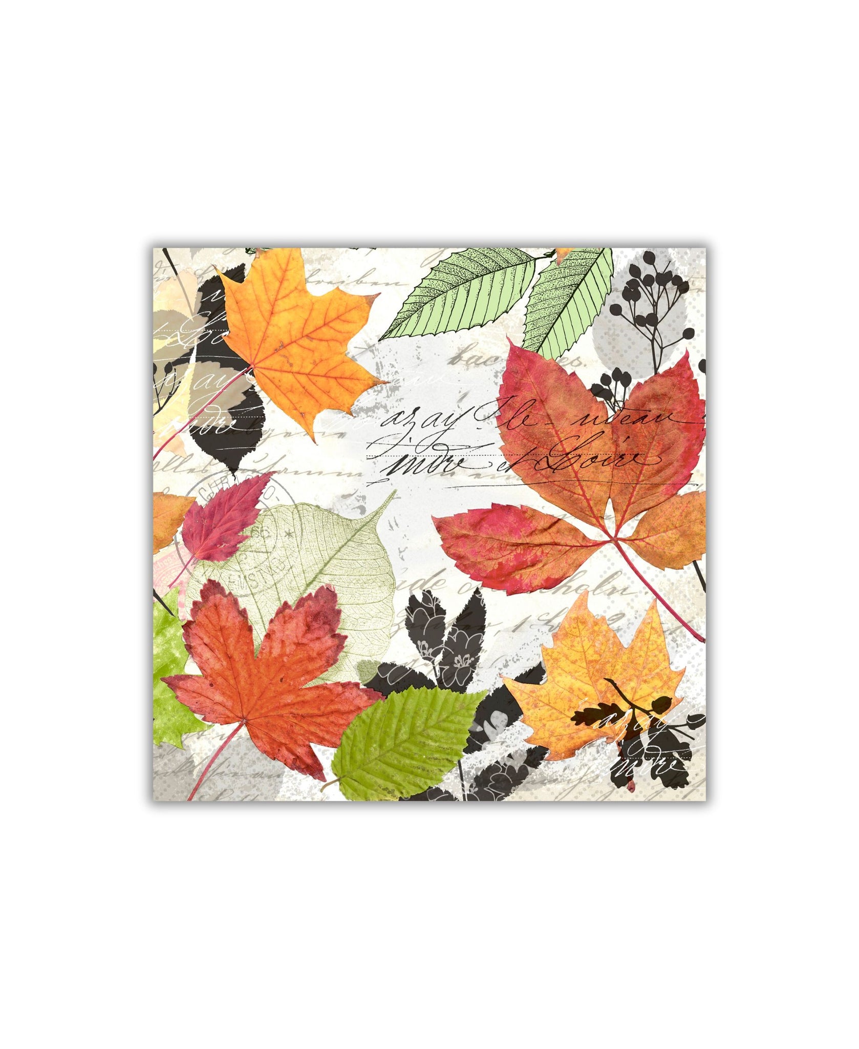 Old Country Design Herbarium Cocktail Napkin
