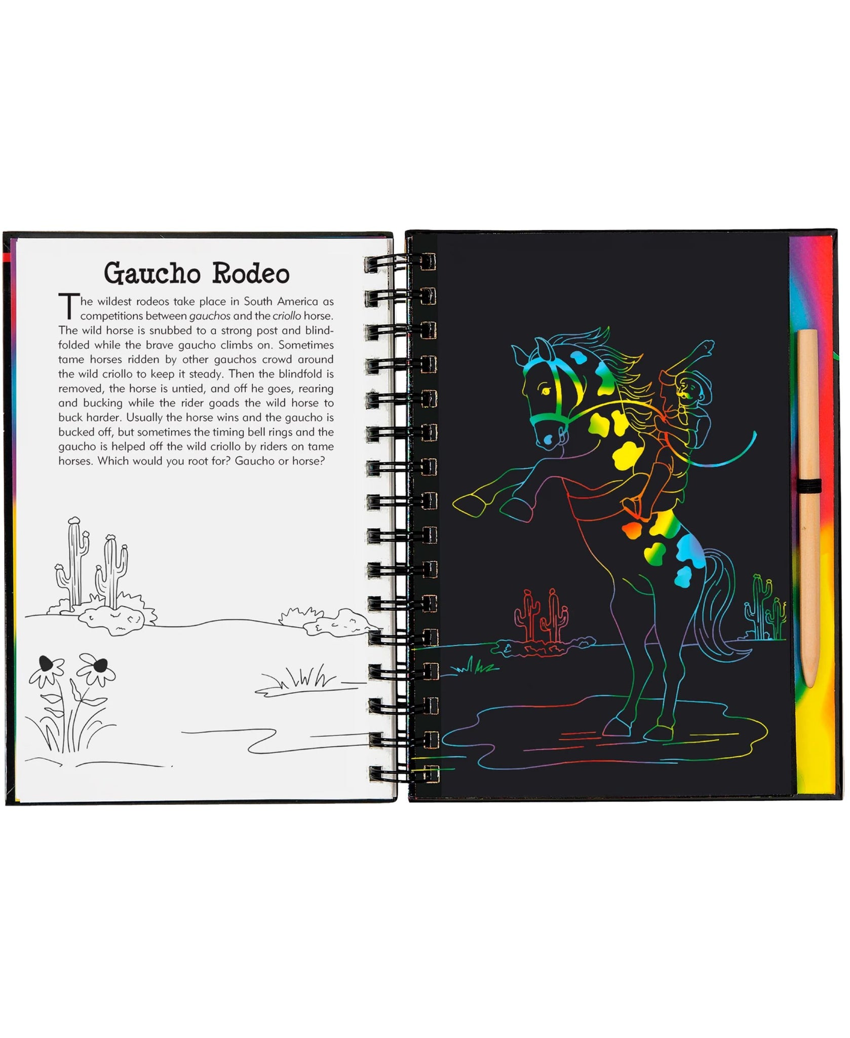 Peter Pauper Press Horses Sketch and Scratch Art