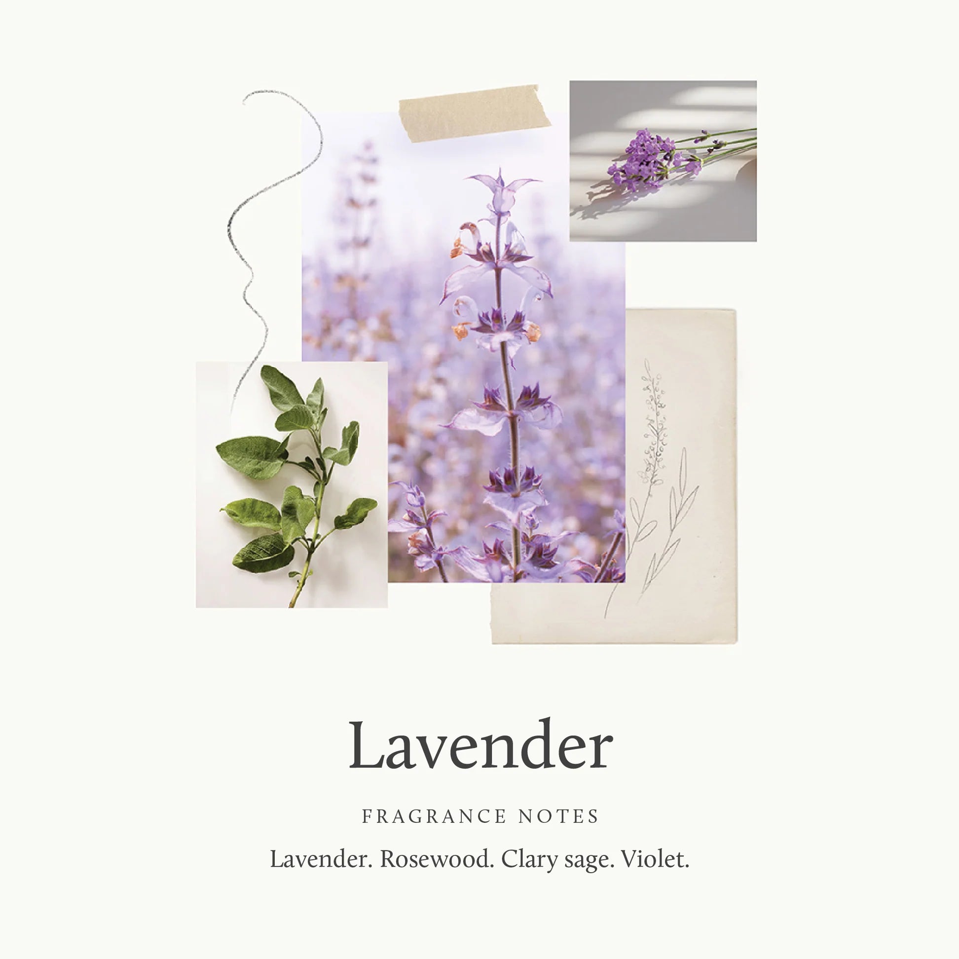 Thymes Lavender Replenishing Hand Lotion