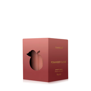 Thymes Pomander Clove Poured Candle
