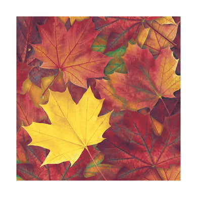 Paper+Design Harvest Harmony Luncheon Napkin