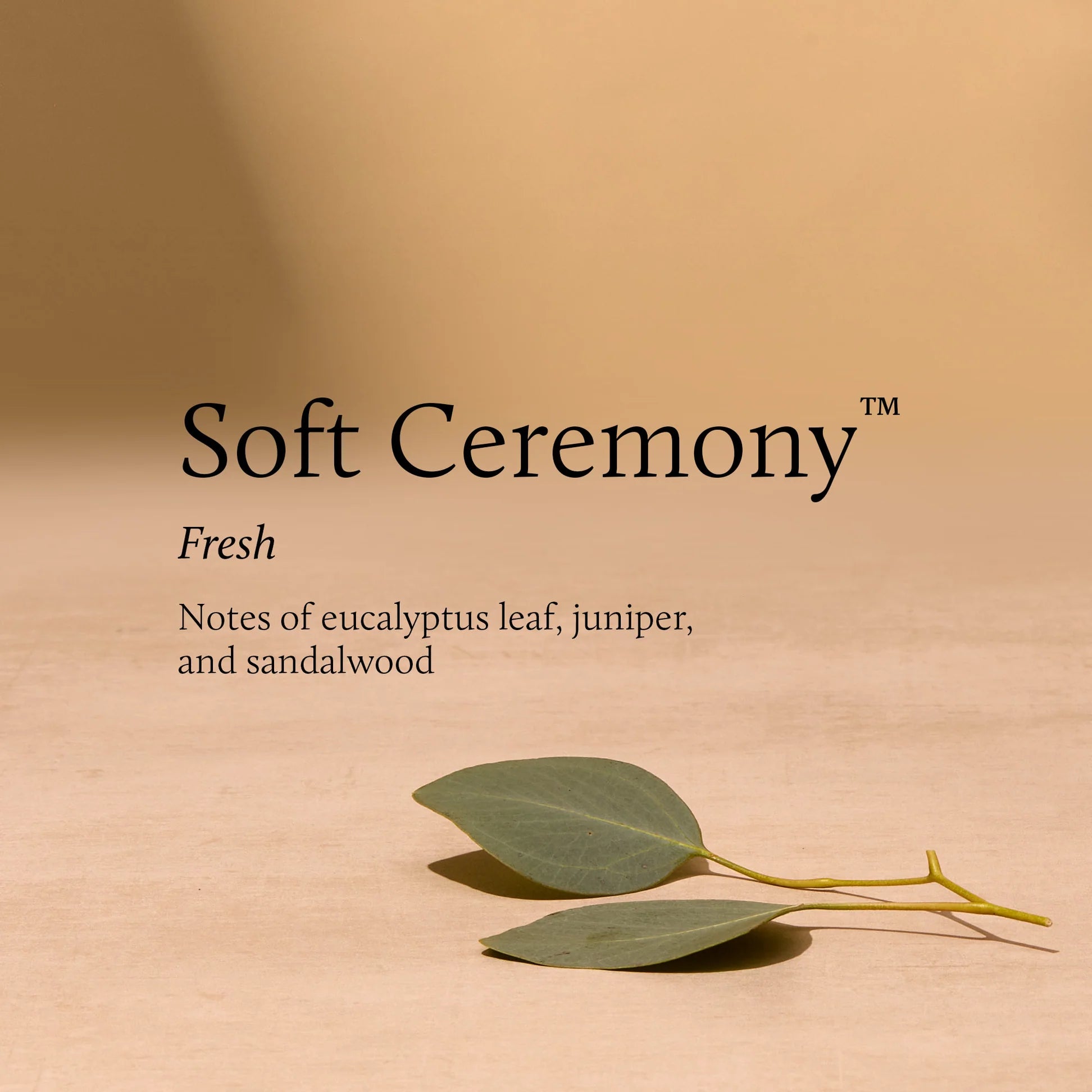 Thymes Soft Ceremony Poured Candle 6.5 oz