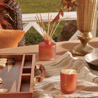 Thymes Pumpkin Laurel Petite Reed Diffuser