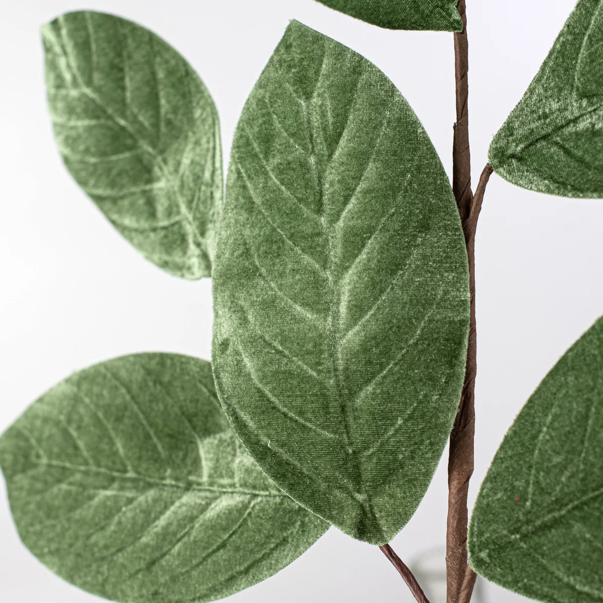 Velvet Magnolia Leaf Pick