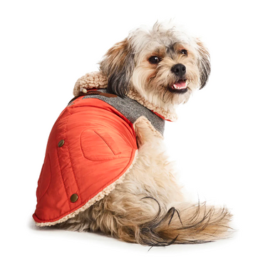 Sherpa Lined Dog Coat - Rust Orange | by Hotel Doggy