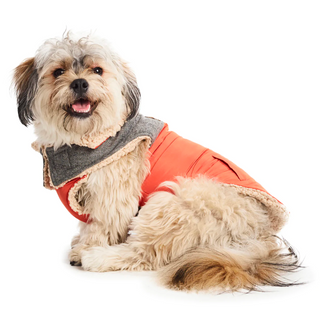 Sherpa Lined Dog Coat - Rust Orange | by Hotel Doggy