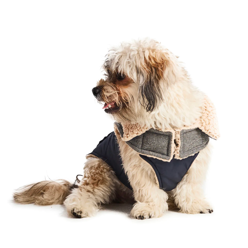 Sherpa Lined Dog Coat - India Ink | by Hotel Doggy