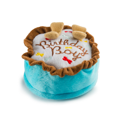 Birthday Boy - Dog Toy