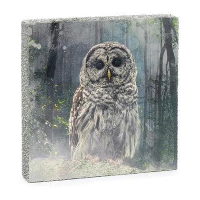 Cedar Mountain Forest Owl Mini Art Block