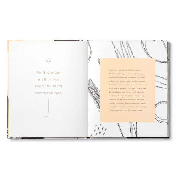 Compendium Beautiful Thoughts Book