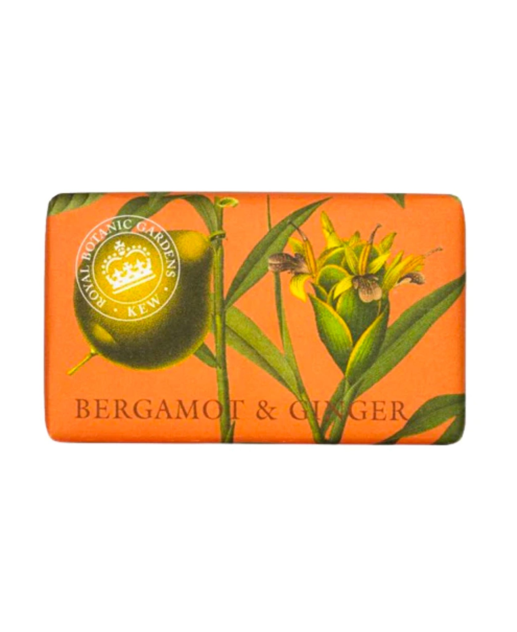 Bergamot & Ginger Shea Butter Soap - by English Soap Co.
