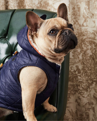 Quilted Doggy Parka with Toggles and Sherpa Lining - by Hotel Doggy