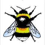 Kattinatt Swedish Dishcloth Regular Bumblebee