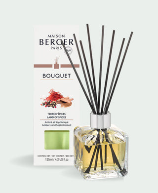 Maison Berger - 'Land of Spices' Cube Reed Diffuser - Maison Berger