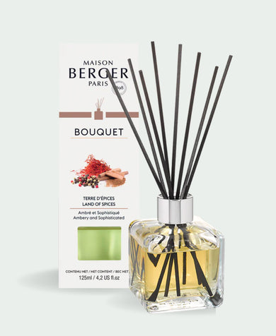 Maison Berger - 'Land of Spices' Cube Reed Diffuser - Maison Berger