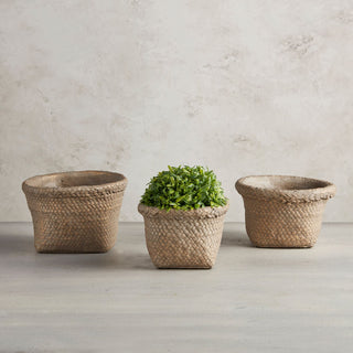 Basket Planter - Medium