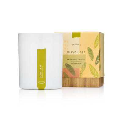 Thymes Olive Leaf Candle
