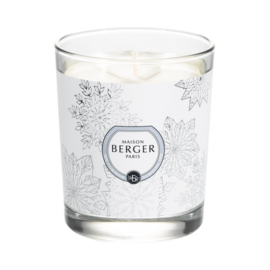 Festive Fir Scented Candle - Maison Berger