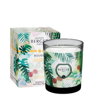 Immersion Grey Scented Candle- Lychee Paradise - Maison Berger