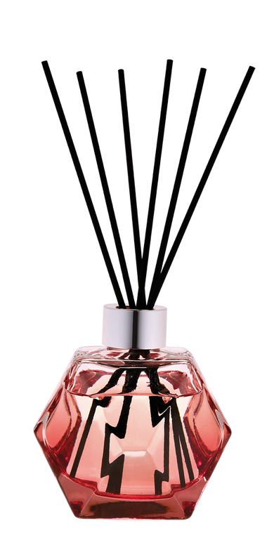 Geometry Pre-filled Pomegranate Reed Diffuser- Paris Chic - Maison Berger