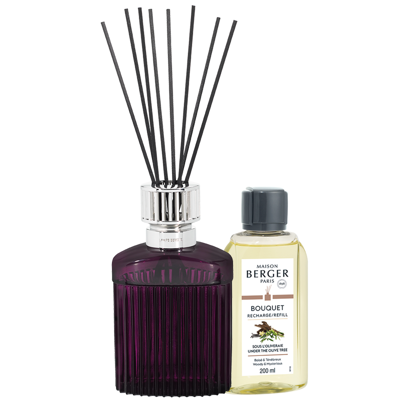 Alpha Plum Reed Diffuser Gift Set - Maison Berger