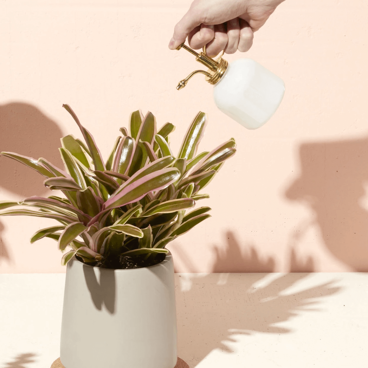 Modern Sprout Brass & White Mister