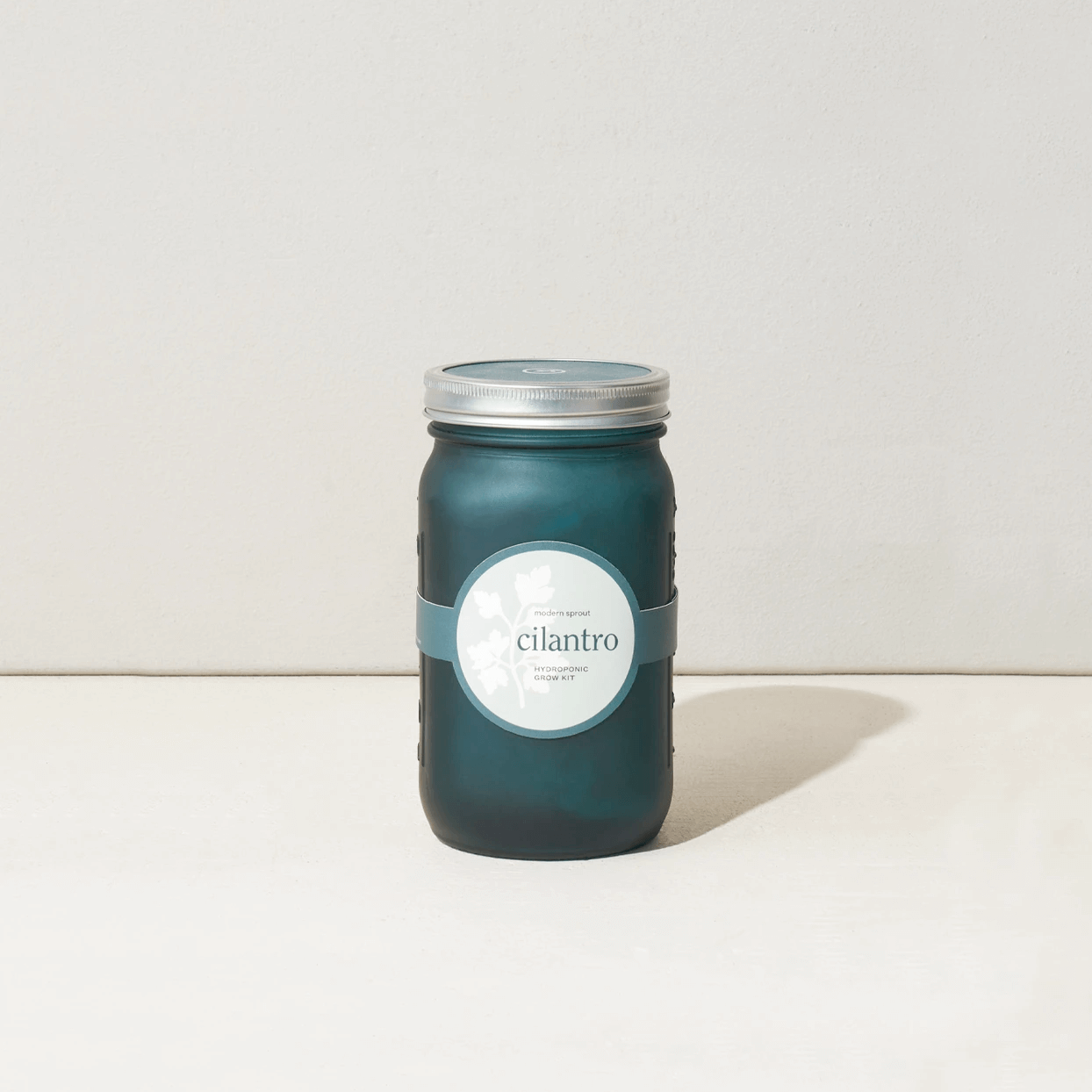 Modern Sprout Garden Jar - Cilantro