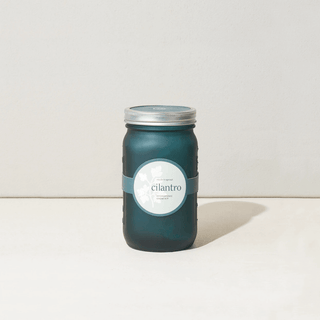 Modern Sprout Garden Jar - Cilantro