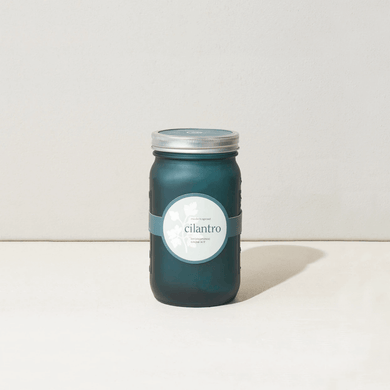 Modern Sprout Garden Jar - Cilantro