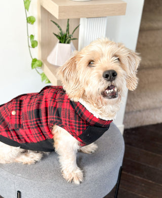 Cranberry Red Plaid Dog Jacket Vest