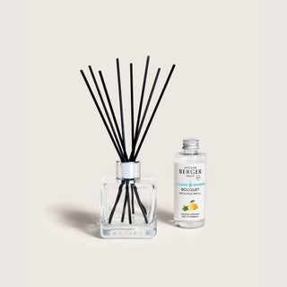 Maison Berger Zest of Verbena Cube Reed Diffuser