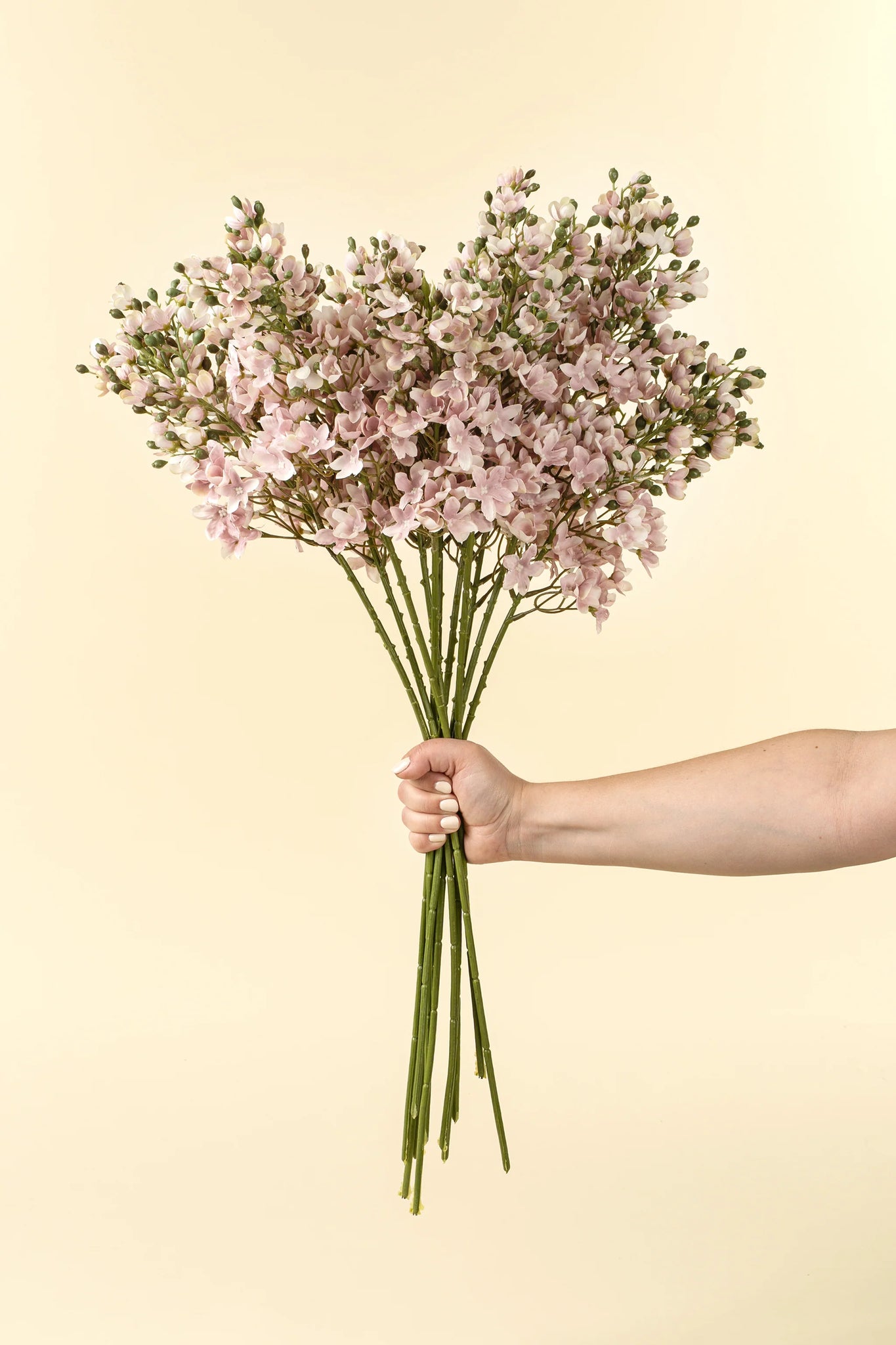 Delphinium Floral Stem Pink