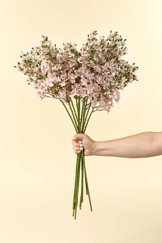 Delphinium Floral Stem Pink