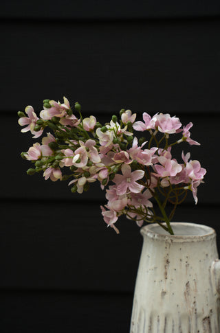Delphinium Floral Stem Pink