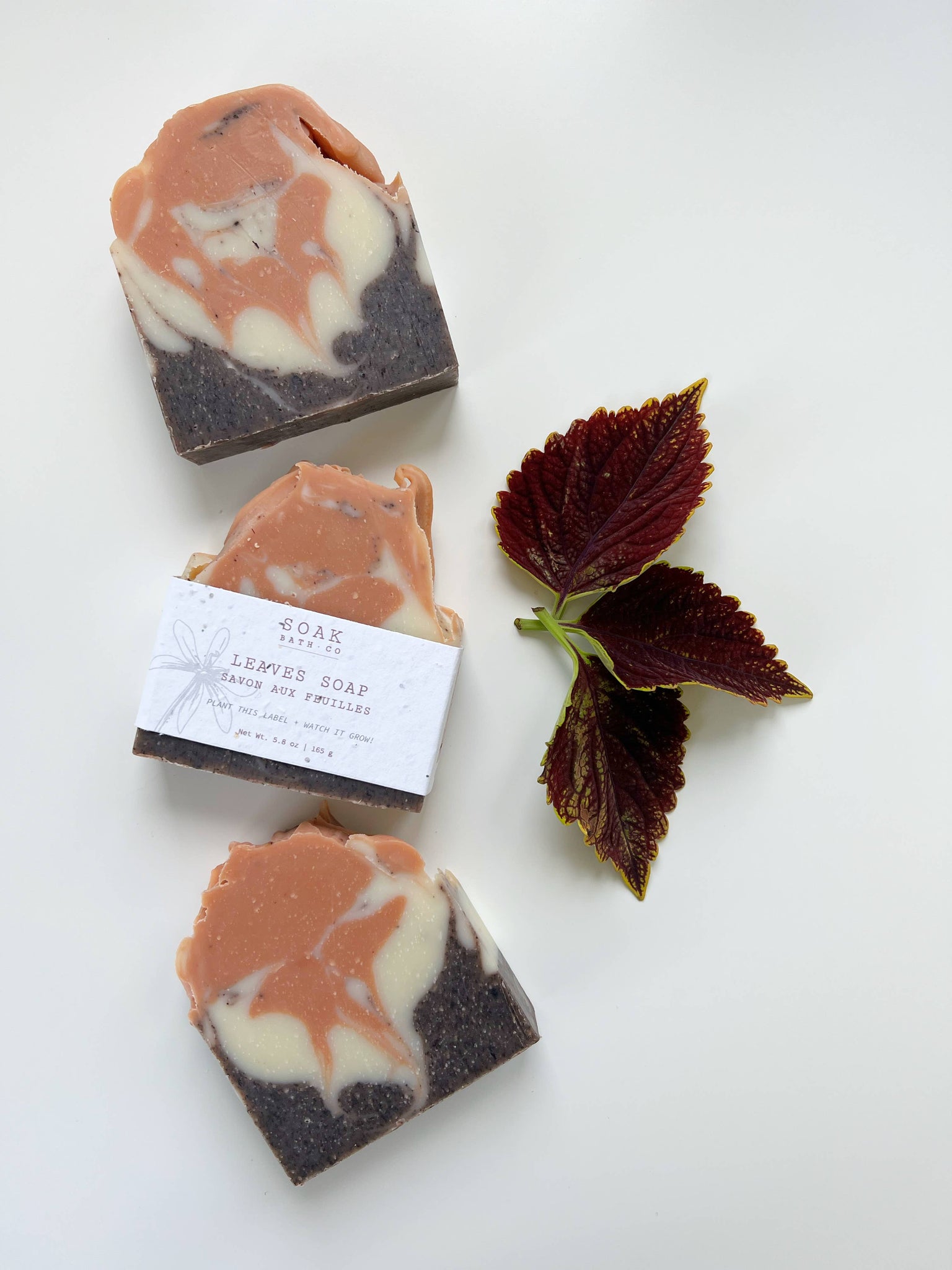 Leaves Soap Bar - Fall Collection - Canadian Made