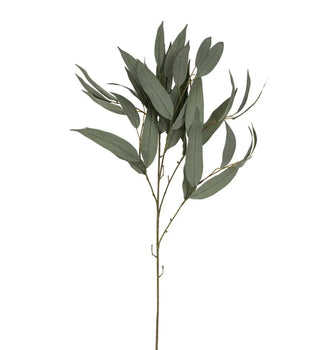 Willow Greenery Stem