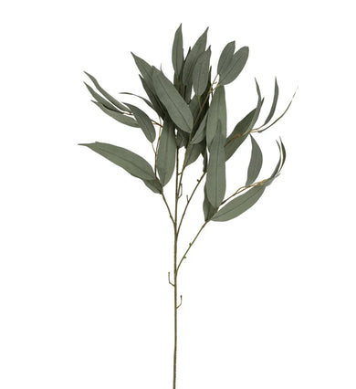 Willow Greenery Stem