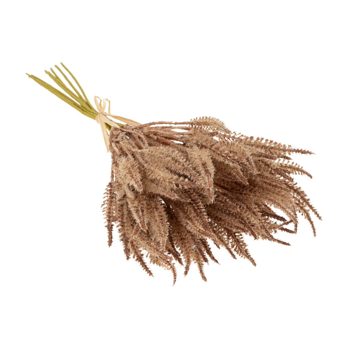 Mini Pampas Grass Bundle - Light Brown