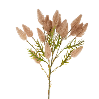 Pussytail Grass Spray