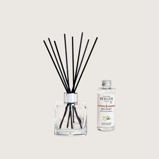 Maison Berger Black Angelica Cube Reed Diffuser