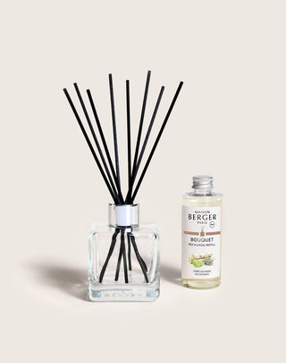 Cube Reed Diffuser 100 ml - Wilderness - Maison Berger