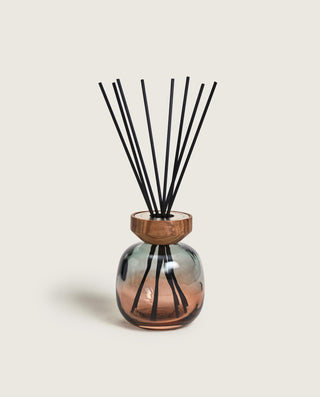 Wood Reed Diffuser Zest Of Verbena - Green/Plum - Maison Berger