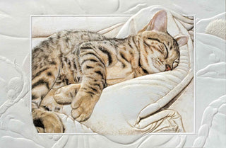 Pumpernickle Bengal Baby Get Well Card