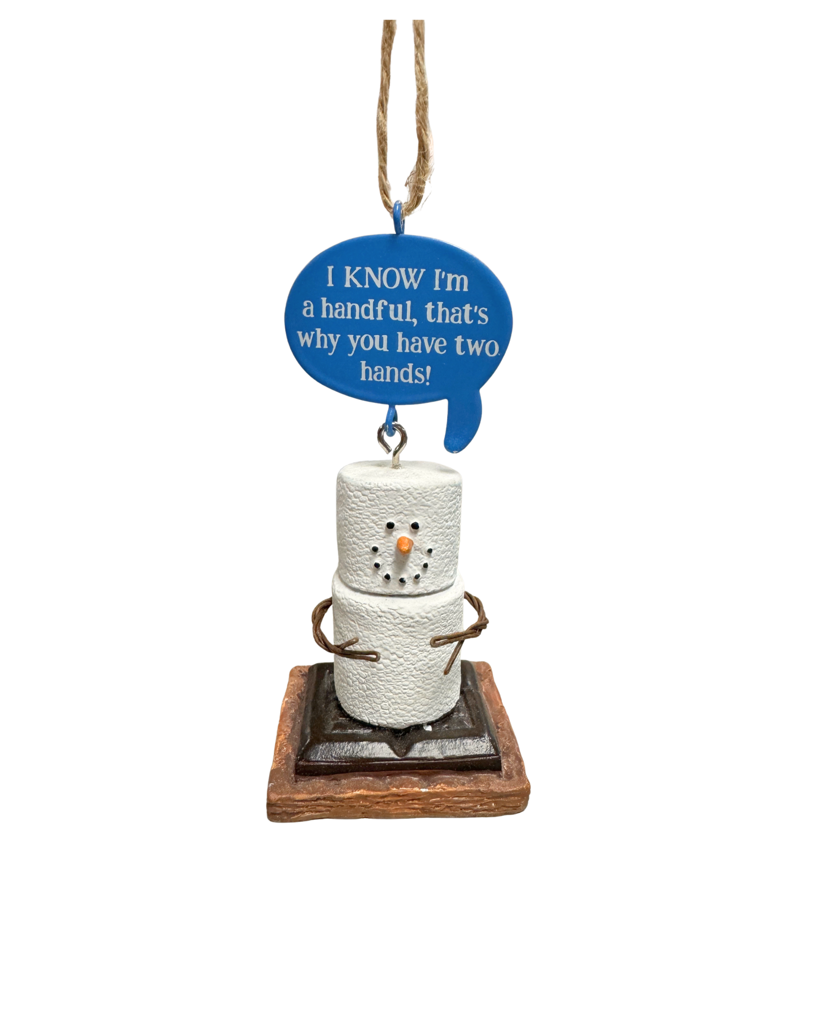 S'mores I'm Unique Ornaments