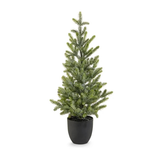 Potted Iced Fir Tree In Black Pot 30.5