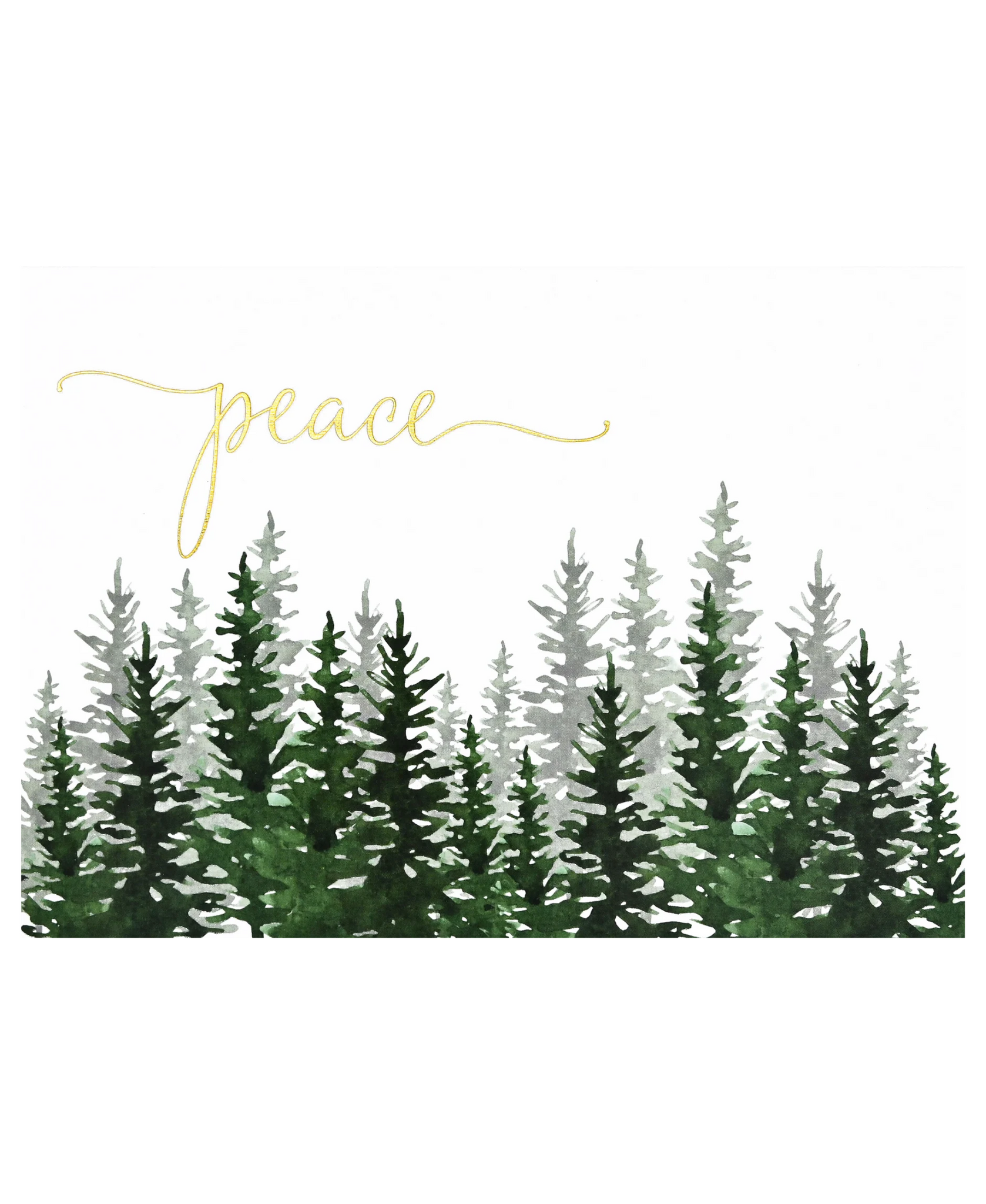 Peter Pauper Press Winter Evergreens Deluxe Boxed Holiday Cards