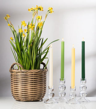 Ridged Taper Candles Hunter Green - 2/Pk