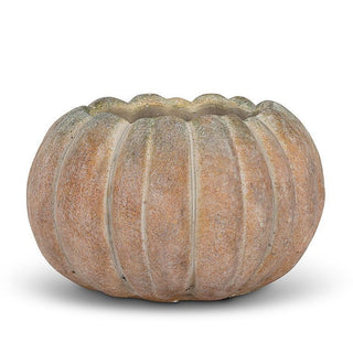 Pumpkin Planter Large Low