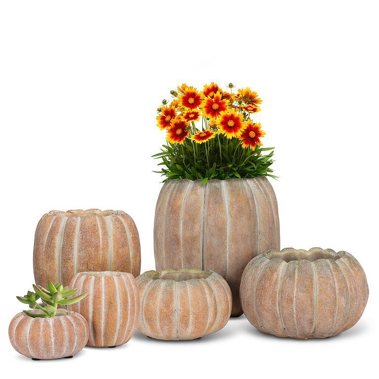Pumpkin Planter Large Low