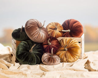 Velvet Pumpkins - Large